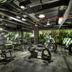 Palestra