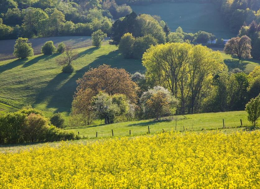 Vista esterna Foto