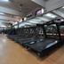 Palestra