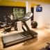 Palestra