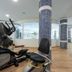 Palestra