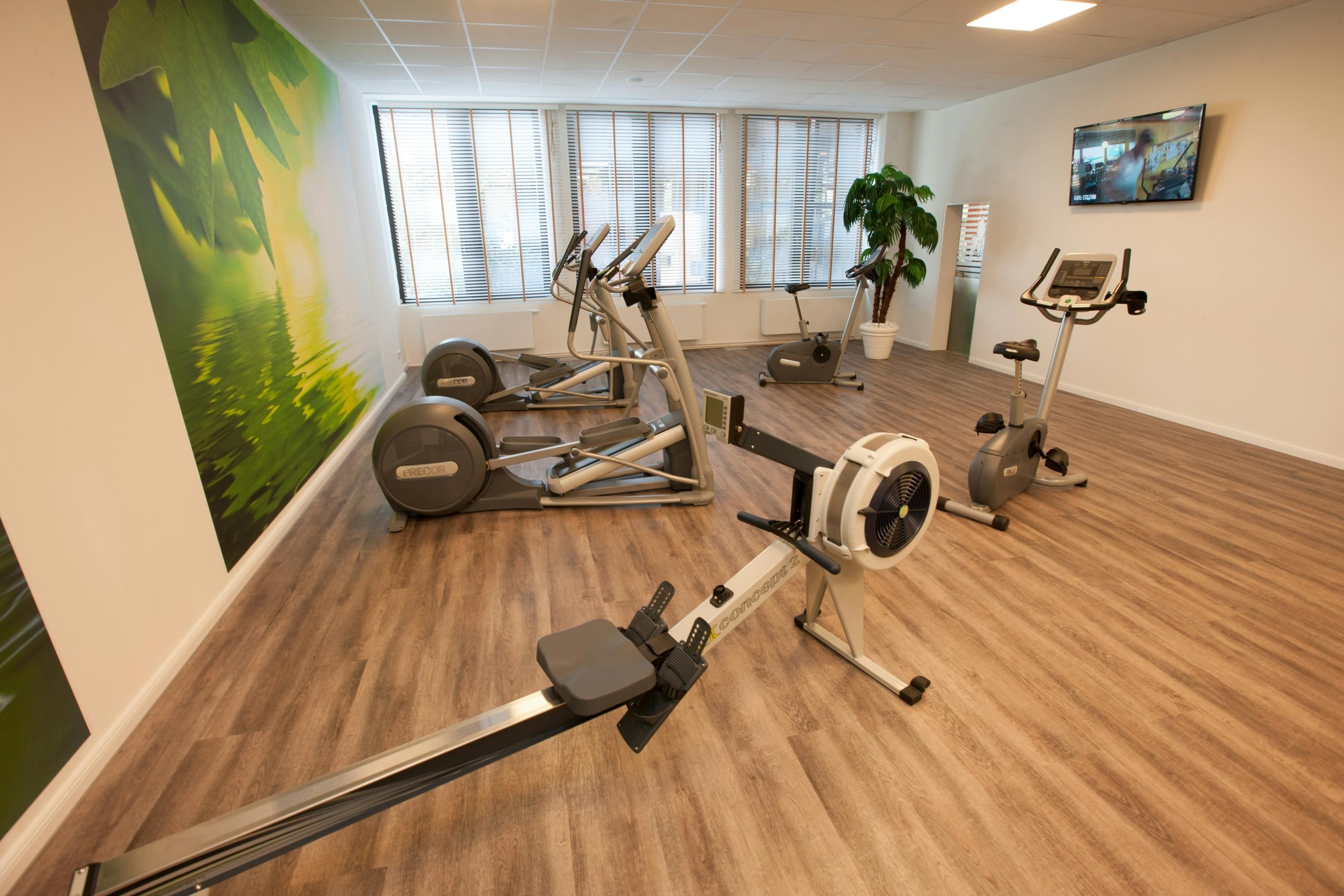Palestra