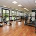 Palestra