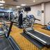Palestra