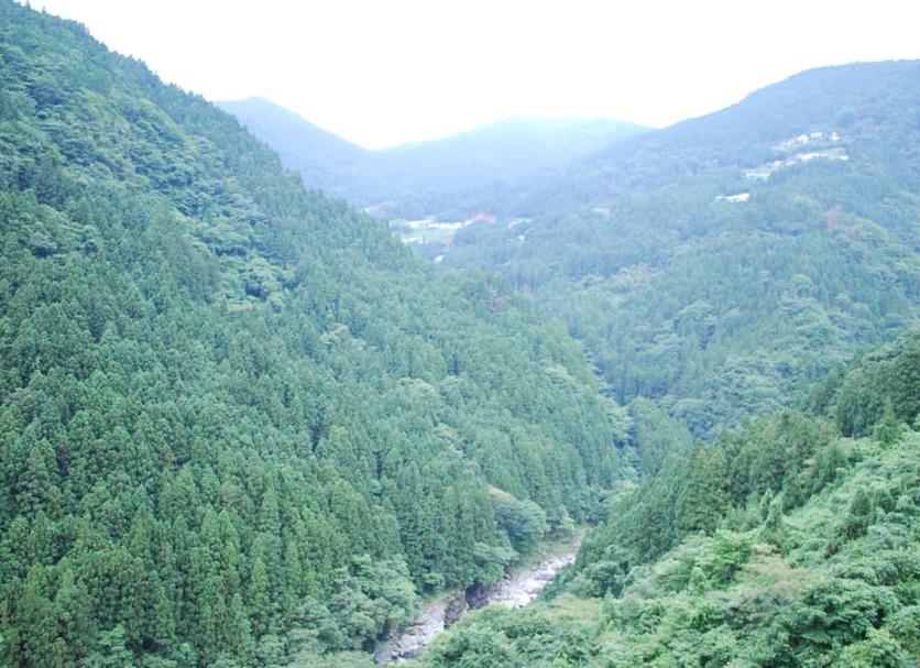 Vista esterna Foto