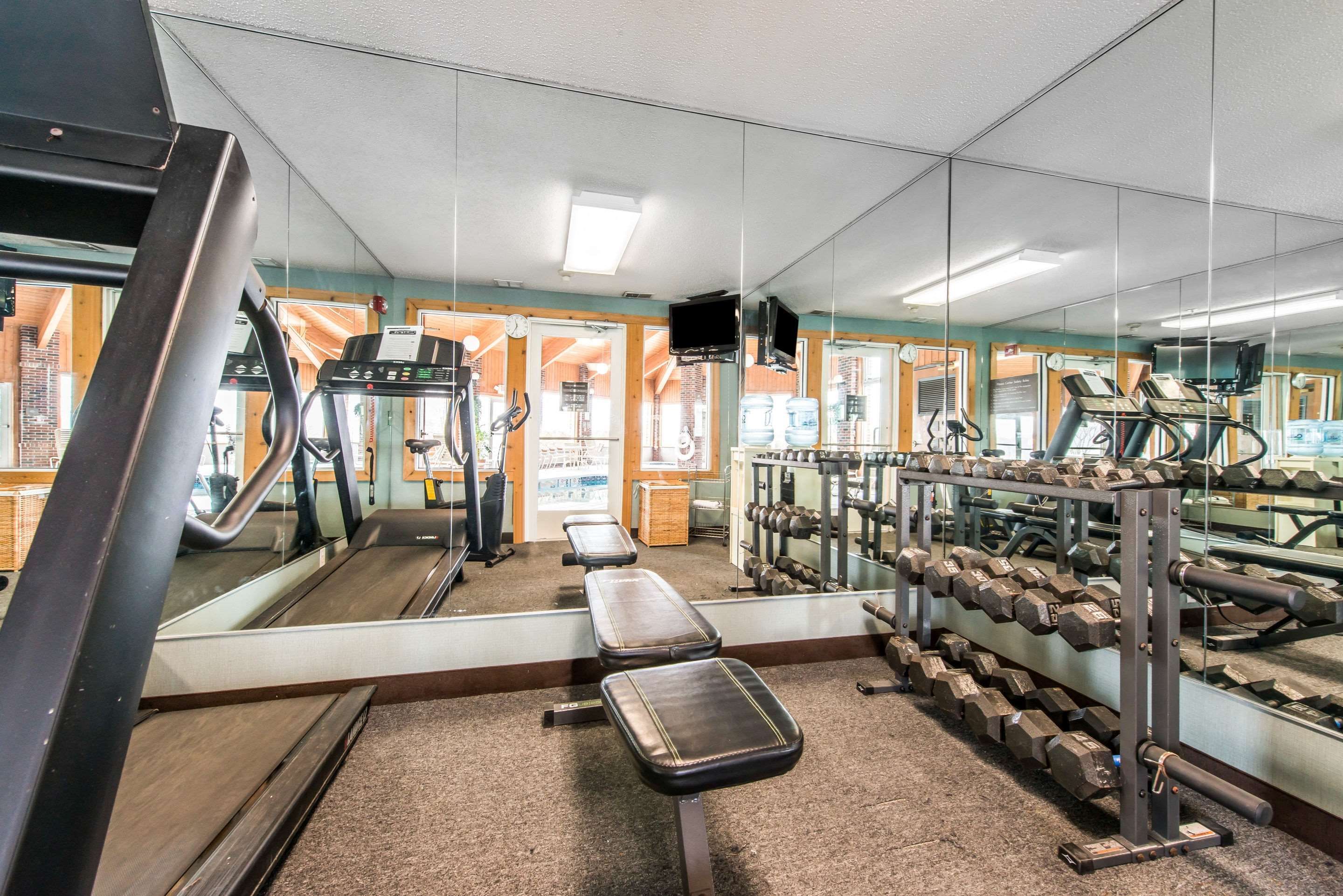 Palestra
