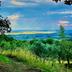 Vista esterna