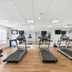 Palestra