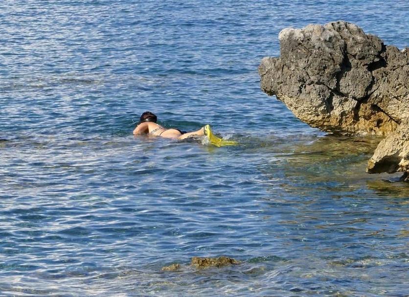 Altro Foto