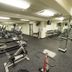 Palestra