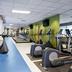 Palestra