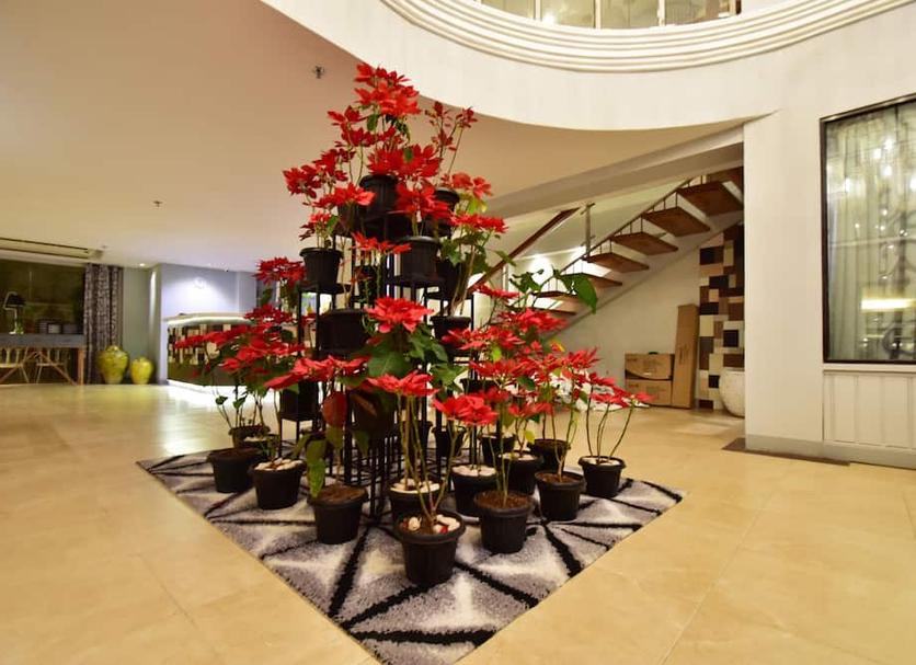 Ingresso Foto