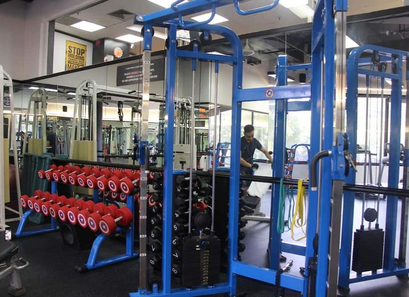Palestra Foto
