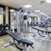 Palestra