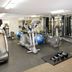 Palestra