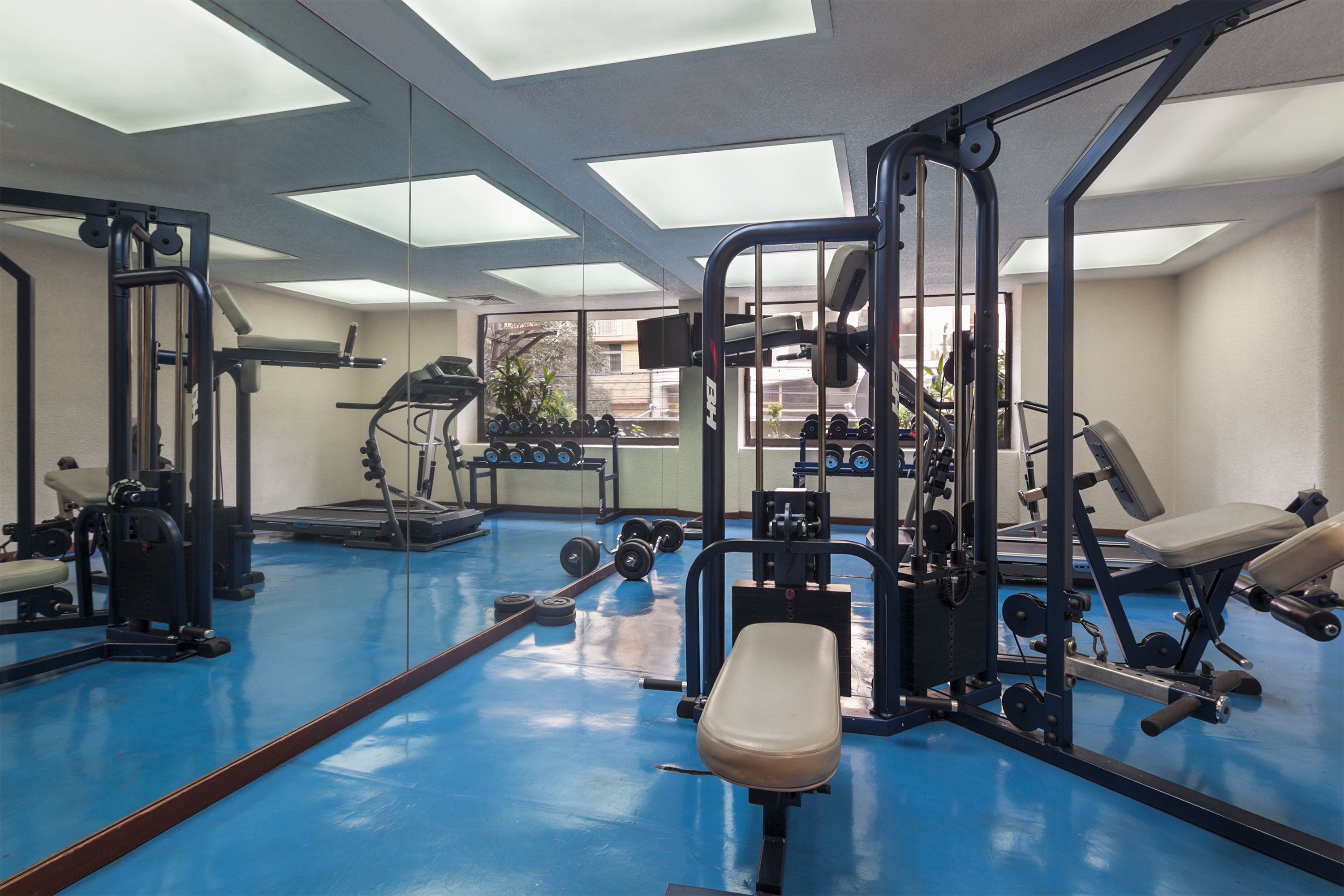 Palestra