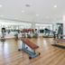 Palestra