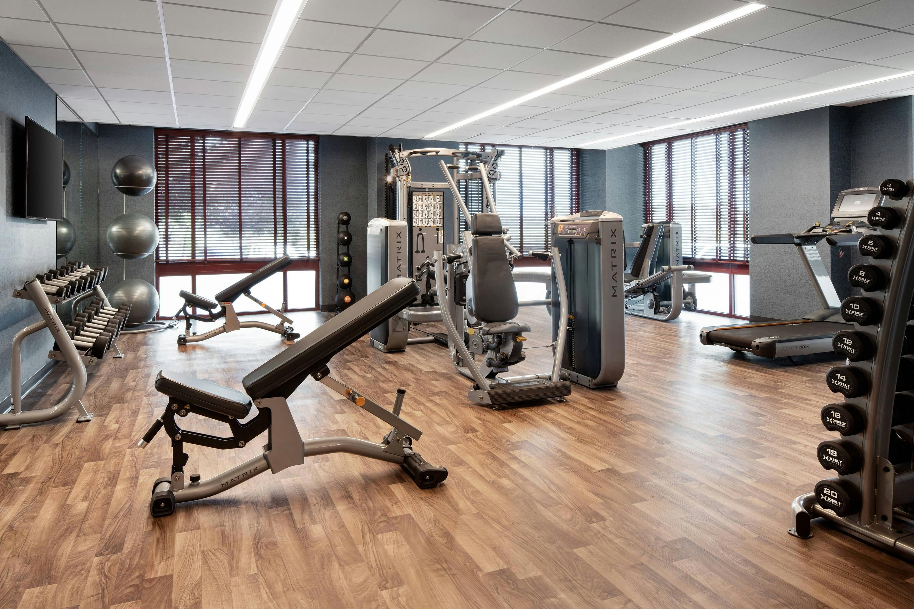 Palestra