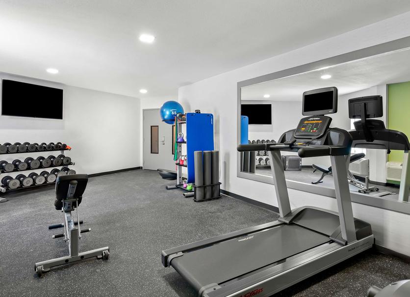 Palestra Foto