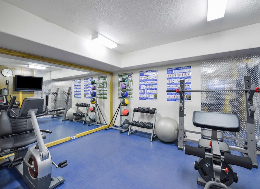 Palestra Foto