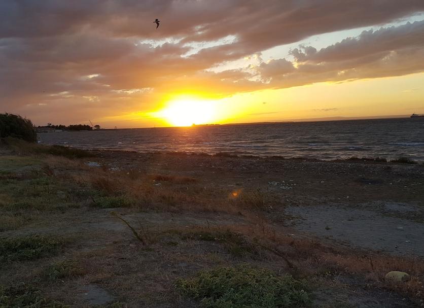 Altro Foto