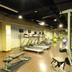 Palestra