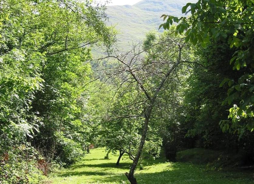 Vista esterna Foto