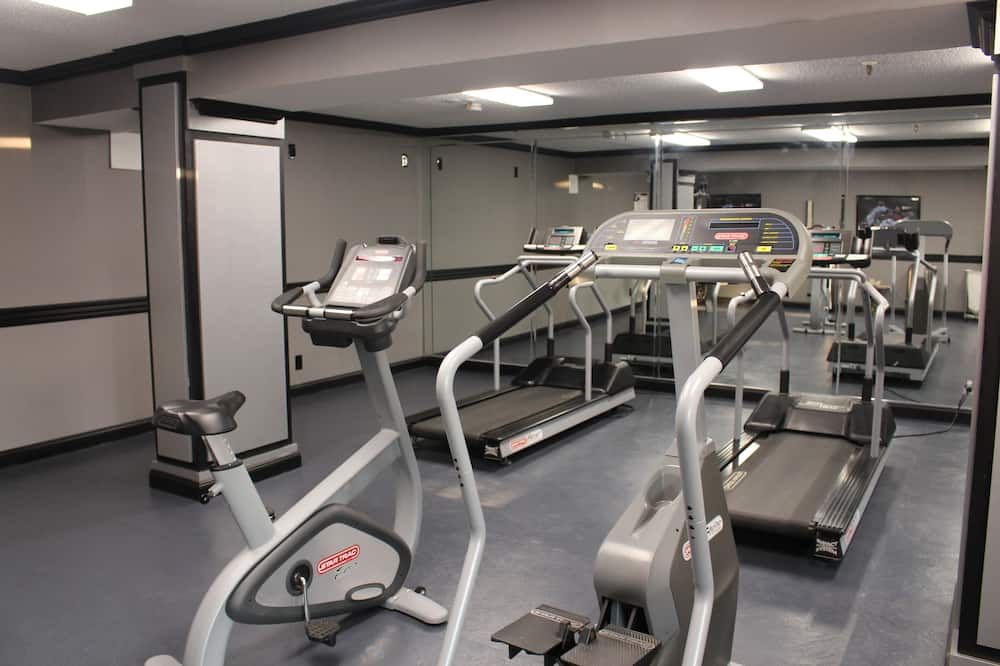 Palestra