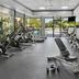 Palestra