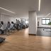Palestra