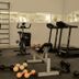 Palestra