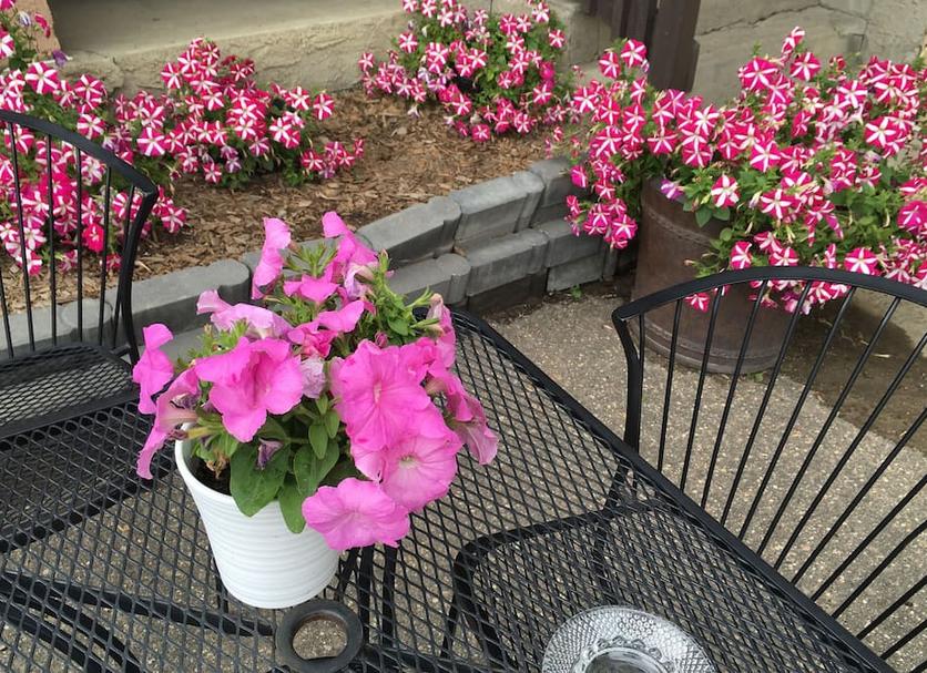 Patio Foto