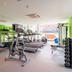 Palestra