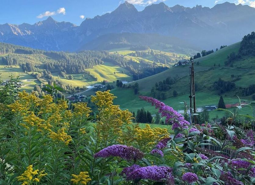 Vista esterna Foto