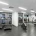 Palestra