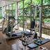 Palestra
