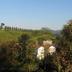 Vista esterna