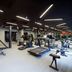 Palestra