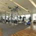 Palestra