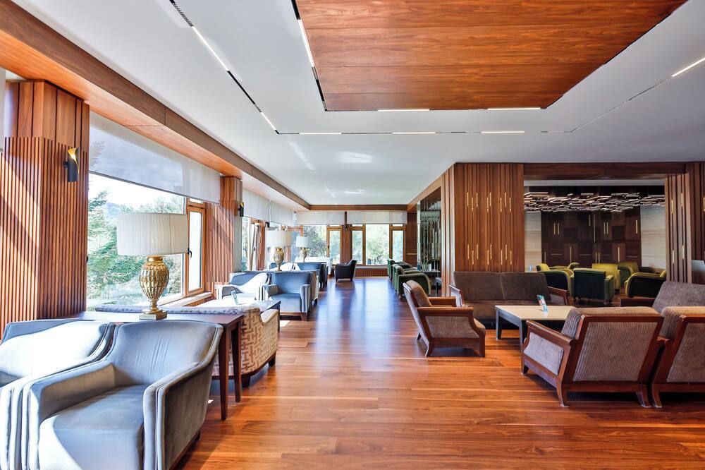 Area lounge