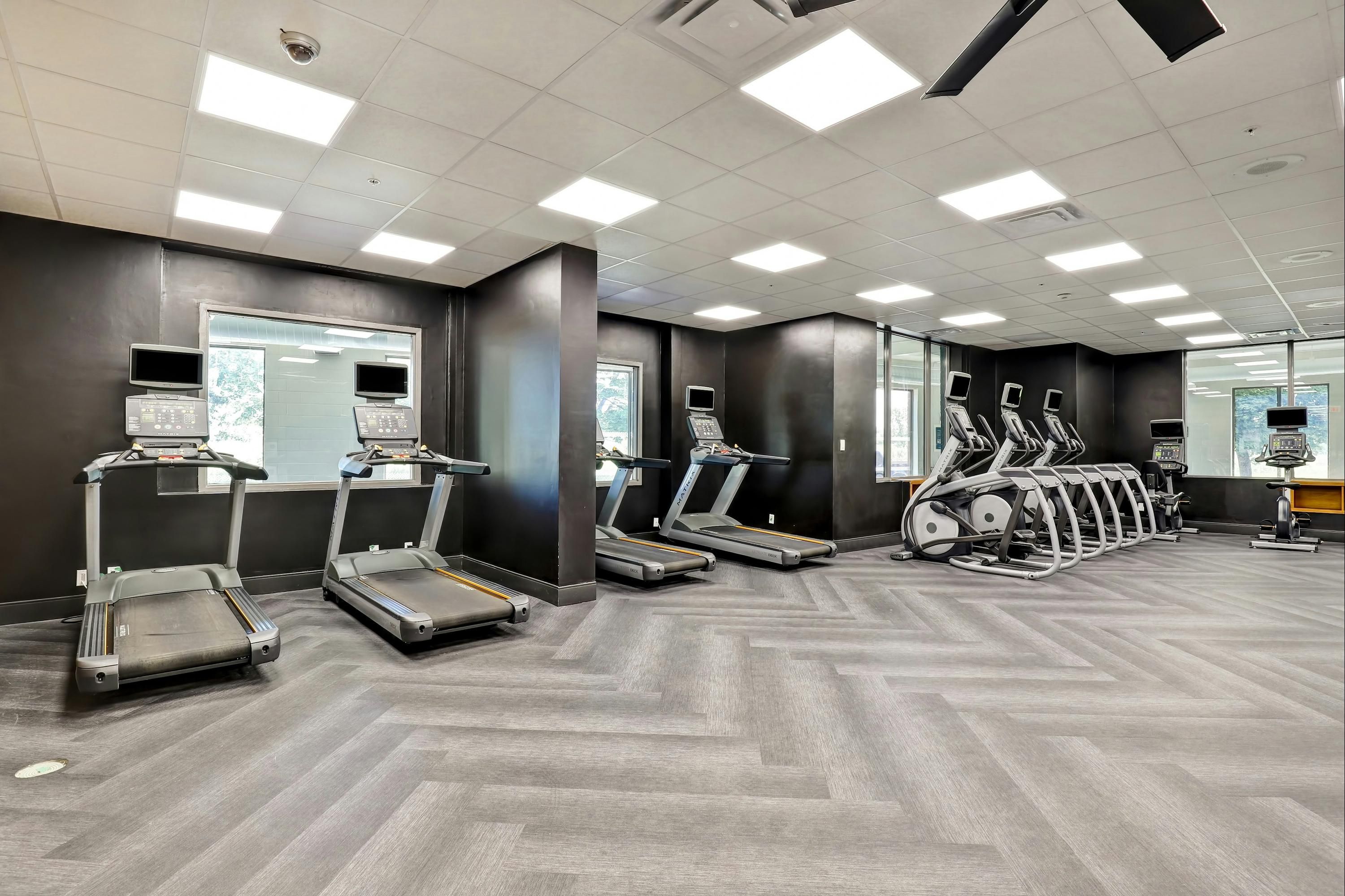 Palestra