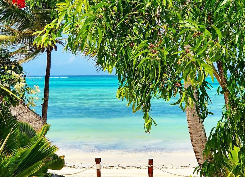 Spiaggia Foto