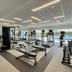 Palestra