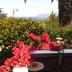 Vista esterna