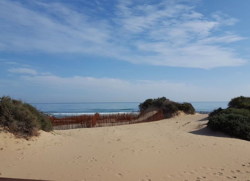 Spiaggia Foto