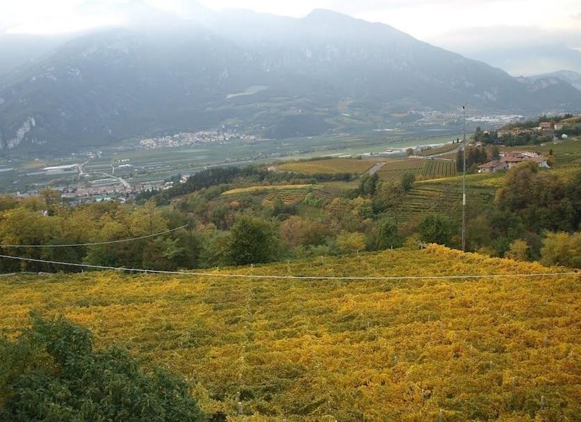 Vista esterna Foto