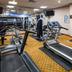 Palestra
