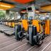 Palestra
