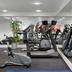 Palestra