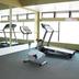 Palestra